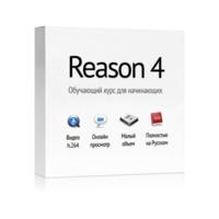 Reason 4 